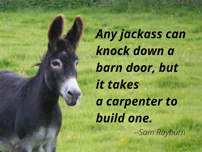 Any jackass can knock down a barn door, but it takes a carpenter to build one. — Sam Rayburn