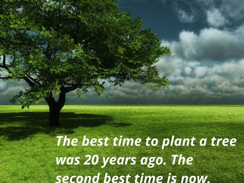 “The best time to plant a tree was 20 years ago. The second best is now.”