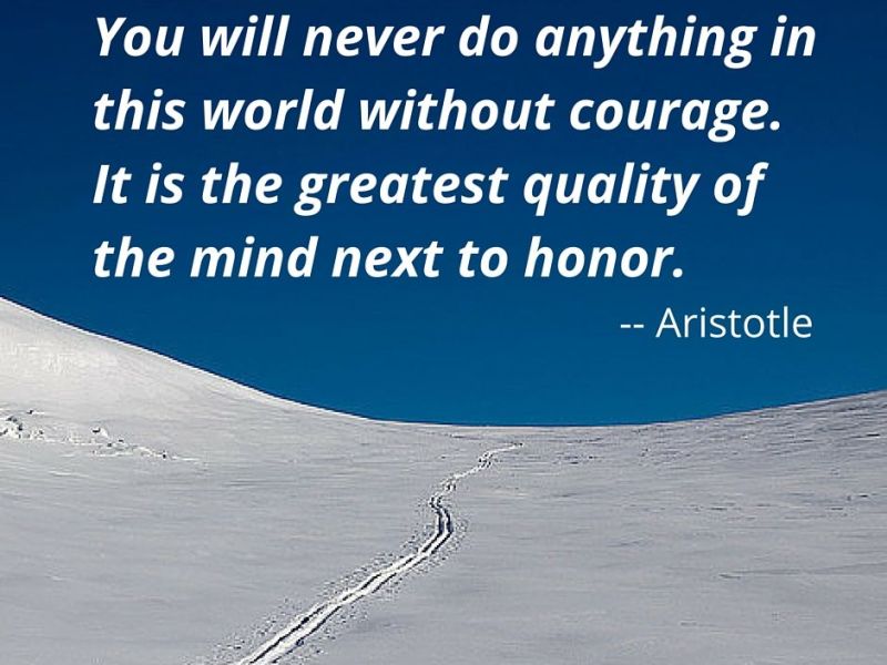 “You will never do anything in this world without courage. It is the greatest quality of the mind next to honor.” – Aristotle