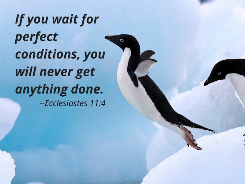 If you wait for perfect conditions, you will never get anything done. Ecclesiastes 11:4